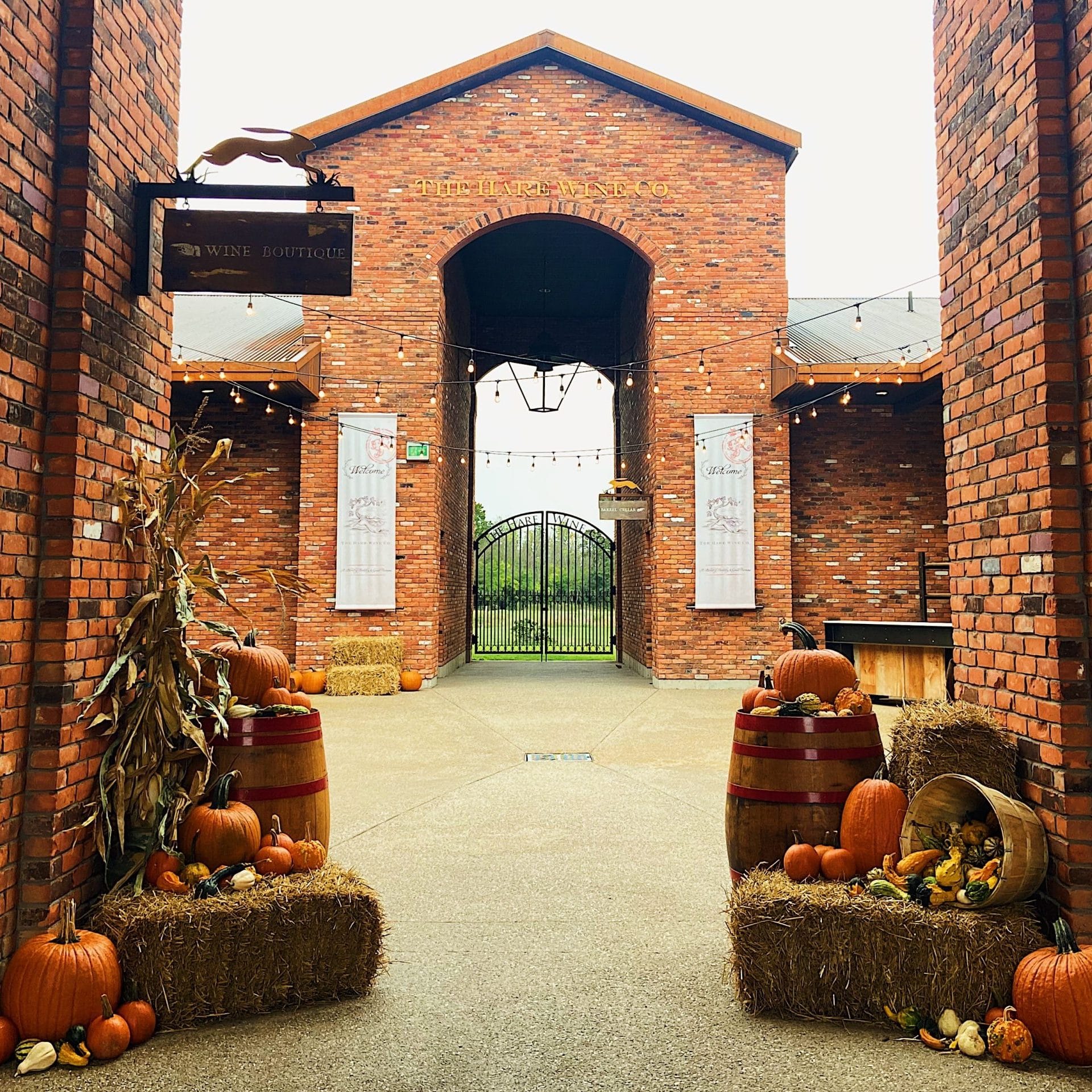 The Niagara Wine Route: Planning a Multi-Winery Day